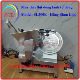 Máy thái thịt đông lạnh tự động