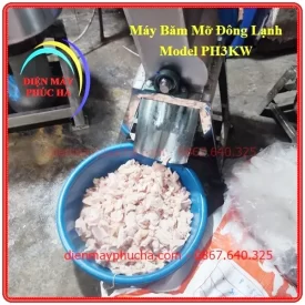 Máy Chặt Mỡ Đông Lạnh 3Kw 380v - Ảnh thực tế sử dụng khi máy đang băm mỡ đông lạnh tại cơ sở sản xuất giò chả xúc xích