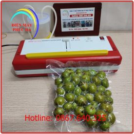 Máy Hút Chân Không DZ300B