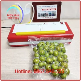 Máy hút chân không mini gia đình DZ300B chuyên dùng để hút chân không cho thực phẩm