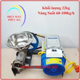Máy xay đùn thịt cối gang 12