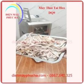 May Thai Tai Heo Dq9 5