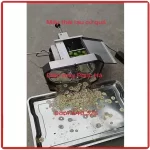 Máy Thái Quả Sung