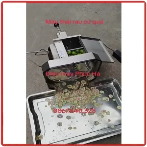Máy Thái Quả Sung