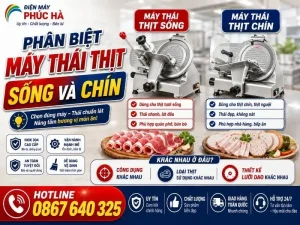 Phan Biet May Thai Thit